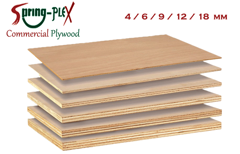 Plywood & Wood-Based Products